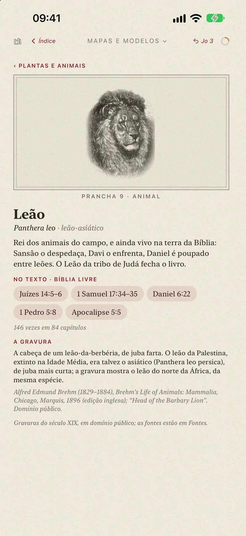 Gravura do leão no verbete de plantas e animais